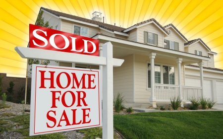 Why Blackstone Is Buying Houses Again and What It Means for Us