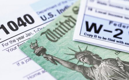 Taxes for Beginners Explained: A Friendly Guide to Understanding Your Finances