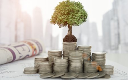 The Impact of Fees on Long-Term Returns