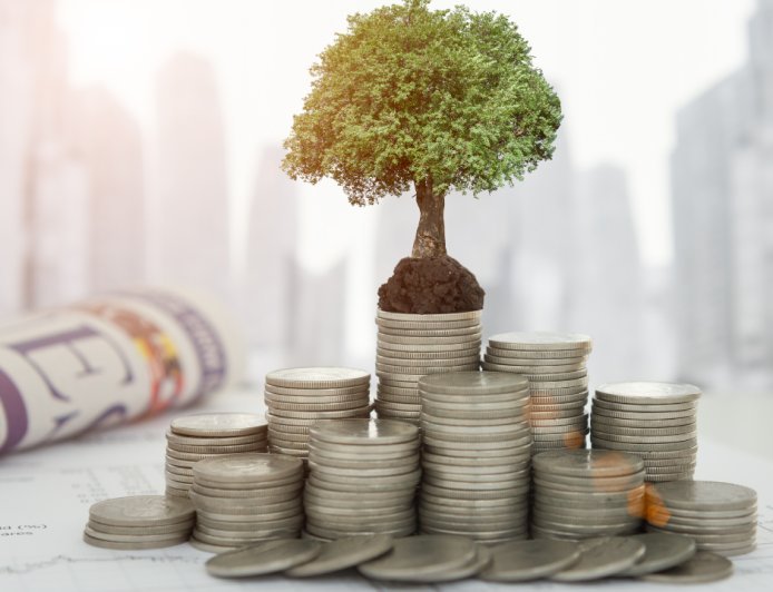 The Impact of Fees on Long-Term Returns