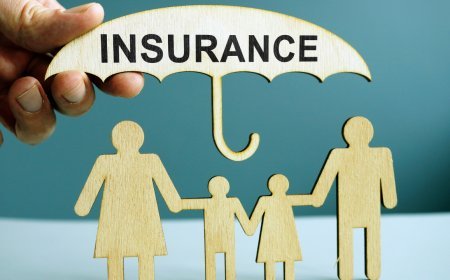 Term vs Whole vs Universal Life Insurance: Which Is Actually Worth It?