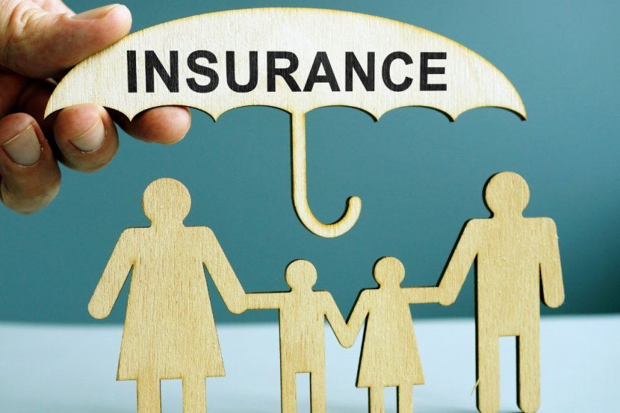 Term vs Whole vs Universal Life Insurance: Which Is Actually Worth It?