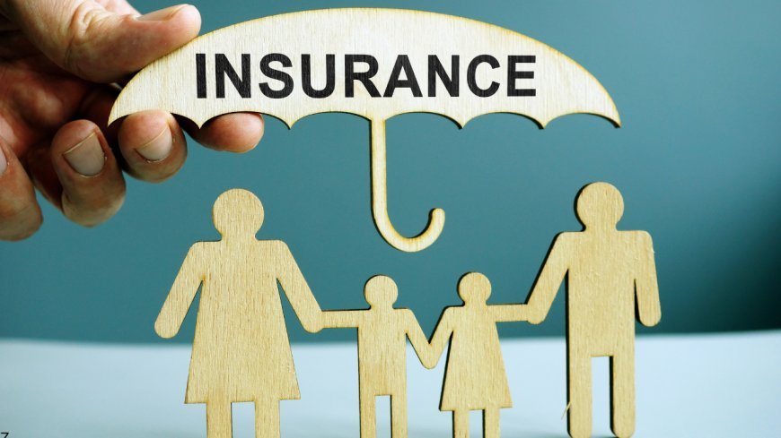 Term vs Whole vs Universal Life Insurance: Which Is Actually Worth It?