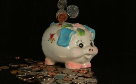Credit Union vs. Bank: How to Choose Where to Keep Your Money